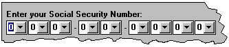 Social Security Number Mayhem